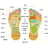 Афродита-центр красоты и эстетики в Бат-Яме 