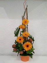 Цветочный магазин в Ришон ле Ционе "Doli Flowers". 