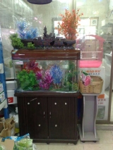 Зоомагазин в Рамле "Джунгли"